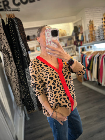 Autumn statement cardigans